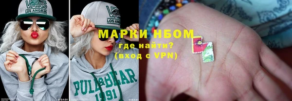 дмт Богданович