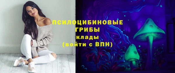spice Белокуриха