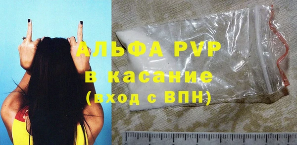 дмт Богданович