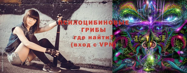 a pvp Богородск